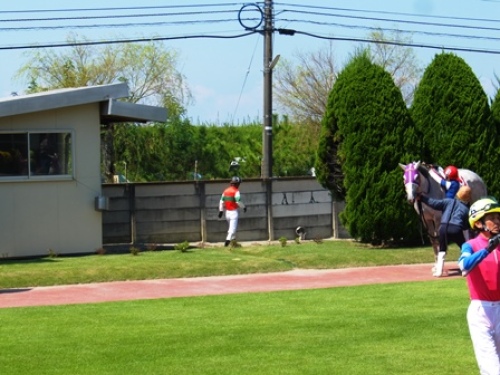 DSCF1183.JPG