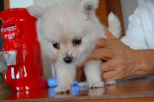 DSC_2982.JPG