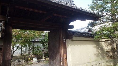 P1050145.jpg
