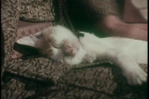 PDVD_006.jpg