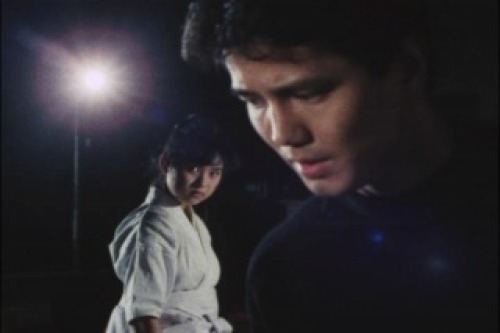 PDVD_019.jpg