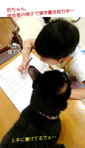 20150704_7.jpg