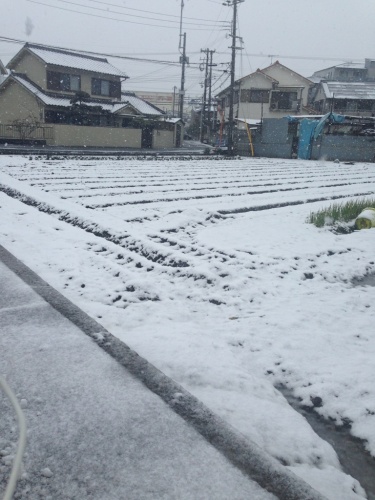 土曜日の朝