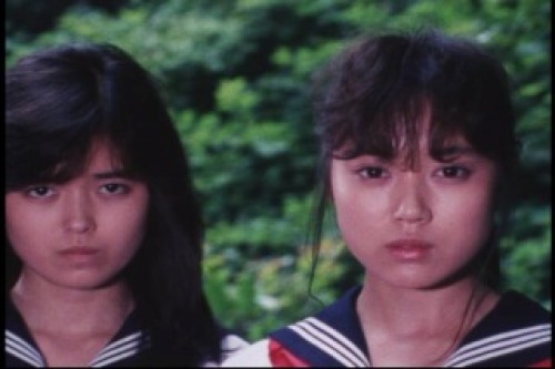 PDVD_043.jpg