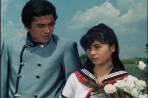 PDVD_018.jpg