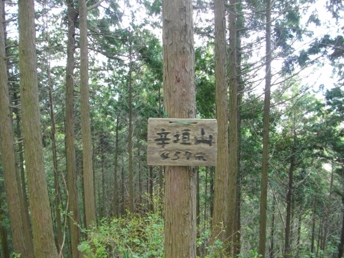 辛垣城辛垣山頂 (2) (500x375).jpg