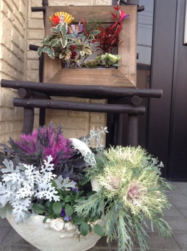 IMG_0137 (478x640).jpg