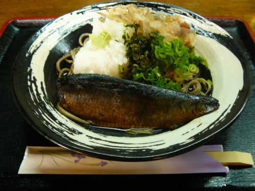 P1760225 (640x480)140619昼食　おろし鰊蕎麦.jpg