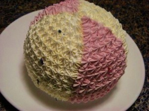 DSCN6045 (300x225).jpg