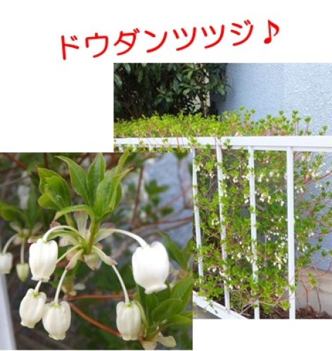 20130416_2.jpg