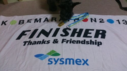 2013.11.17.神戸マラソン12.jpg