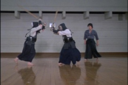 PDVD_012.jpg