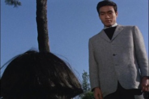 PDVD_011.jpg