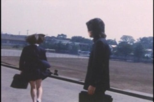 PDVD_014.jpg