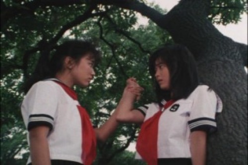 PDVD_020.jpg
