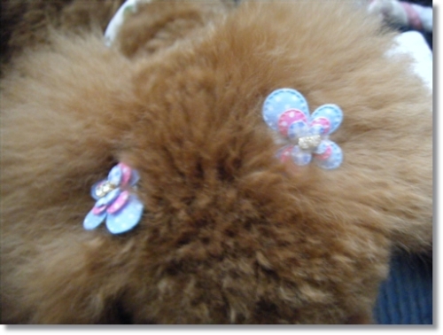DSCF0625.JPG