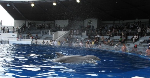 水族館17.jpg