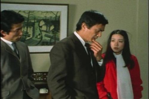PDVD_031.jpg