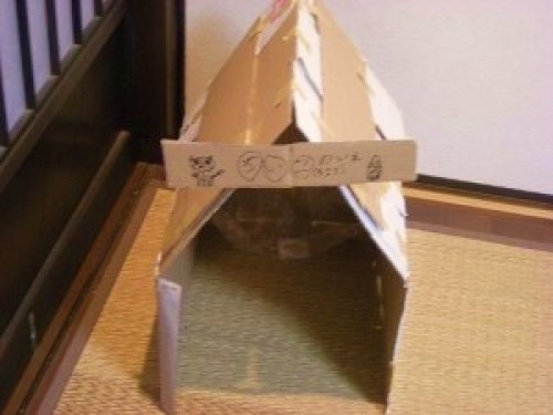 DSCN5761 (300x225).jpg