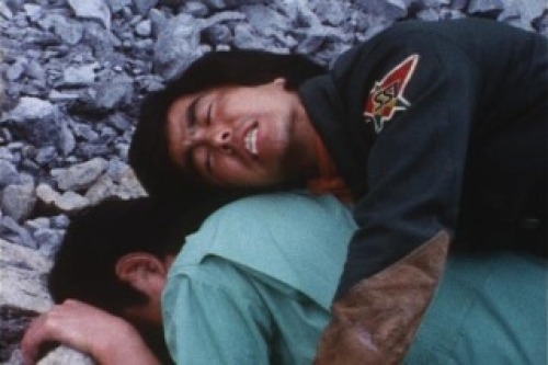 PDVD_004.jpg