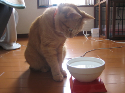 August 17, 2013(8).JPG