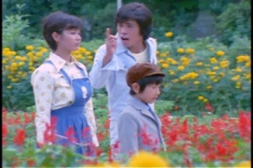 PDVD_003.jpg