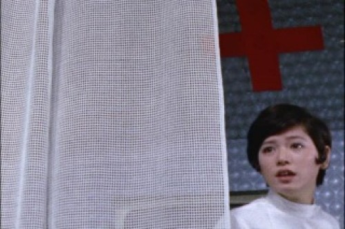 PDVD_016.jpg
