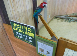 那須26.jpg