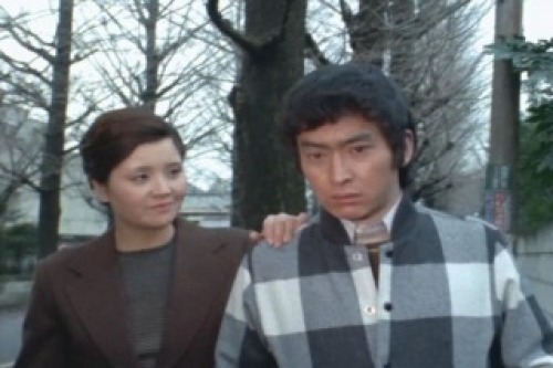 PDVD_022.jpg