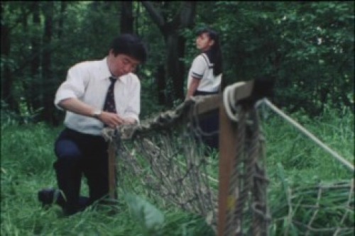 PDVD_017.jpg