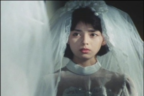 PDVD_027.jpg
