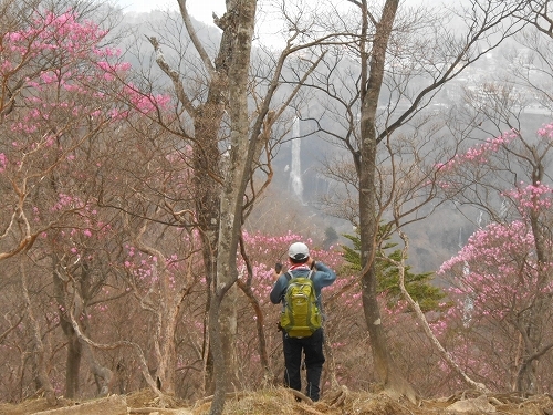 20140505ヤシオ４.jpg