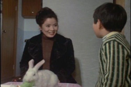 PDVD_042.jpg