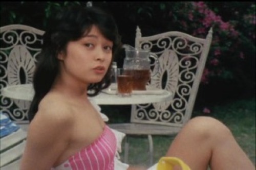 PDVD_049.jpg