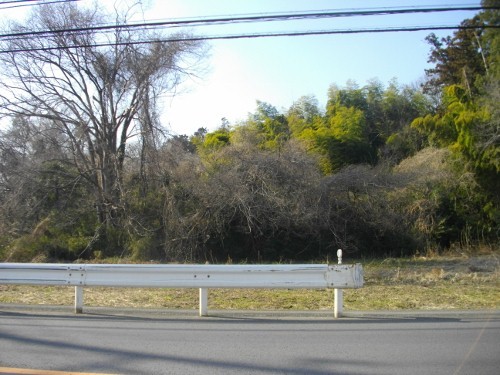 青鳥城遠景 (500x375).jpg