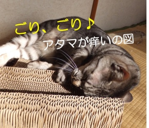 20130317_4.jpg