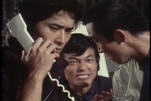 PDVD_007.jpg