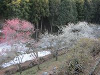 IMG_2183_R.JPG