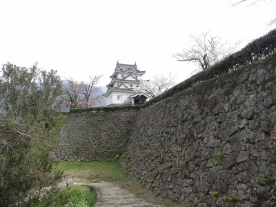 DSC00497.jpg