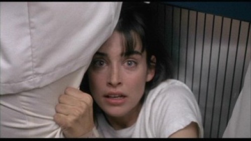PDVD_009.jpg