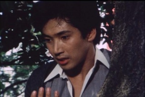 PDVD_022.jpg