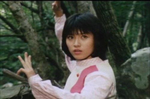 PDVD_002.jpg