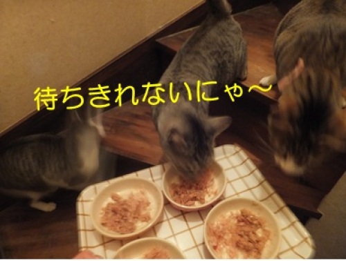 20121225_5.jpg