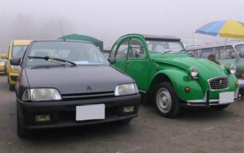 12-10-28 AX 2CV 480.JPG