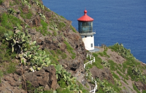 pict-マカプウ 14.jpg