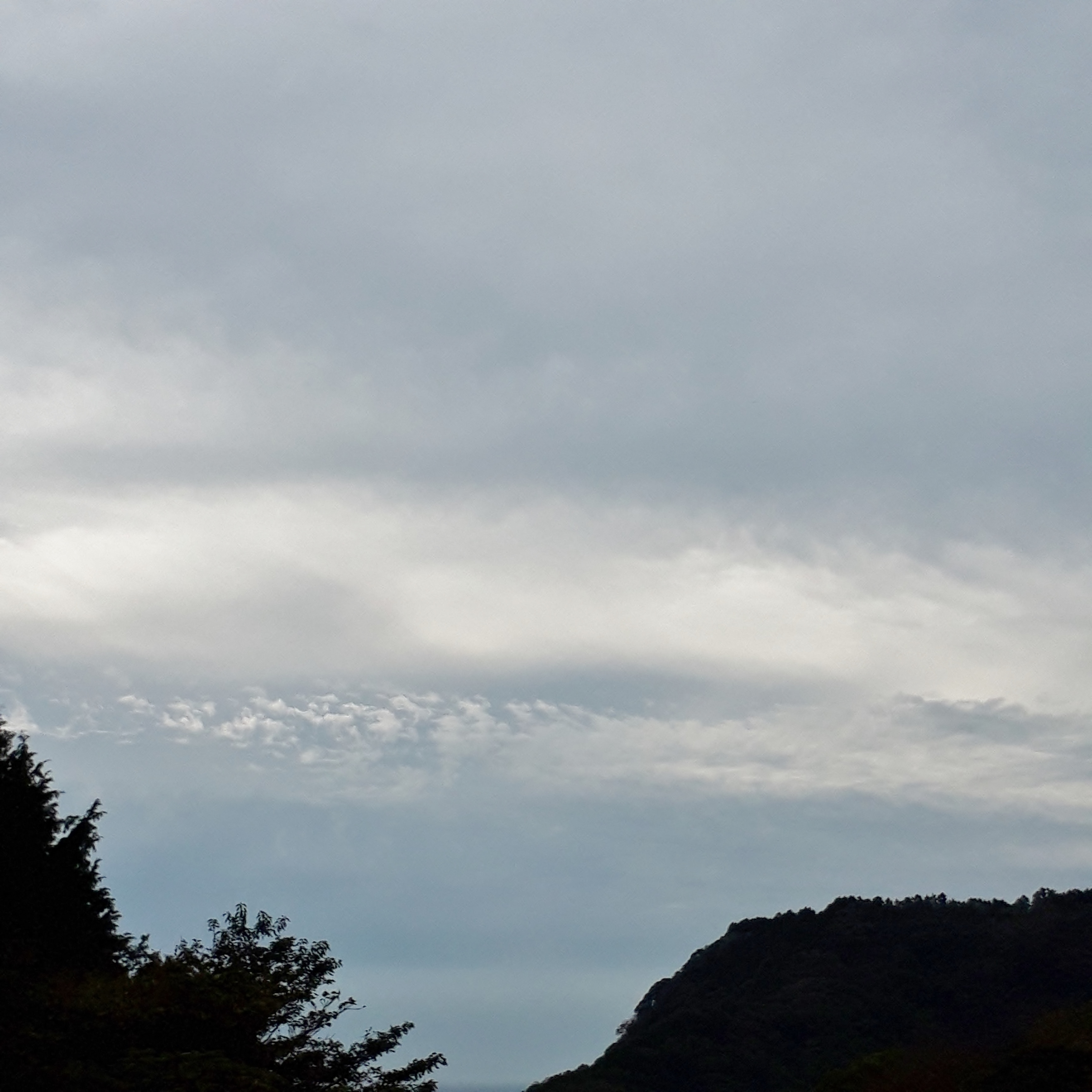 晴れ時々曇り 伊豆高原で小さな宿を営むオーナーの地元情報 楽天ブログ