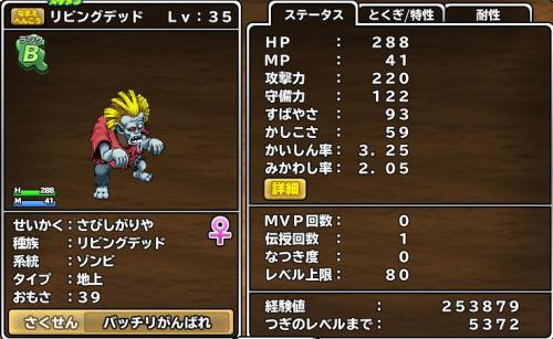20140601スカウト2.JPG