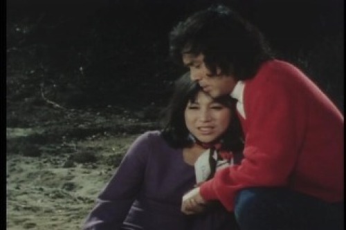 PDVD_006.jpg