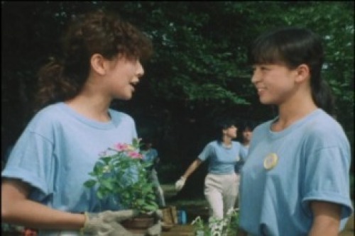 PDVD_008.jpg