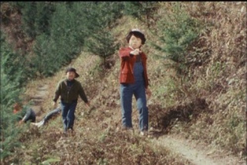 PDVD_015.jpg